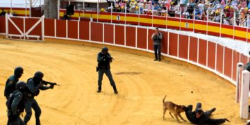 Impresionante exhibición de medios de la Guardia Civil en la Plaza de Toros de Tomelloso