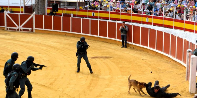 Impresionante exhibición de medios de la Guardia Civil en la Plaza de Toros de Tomelloso