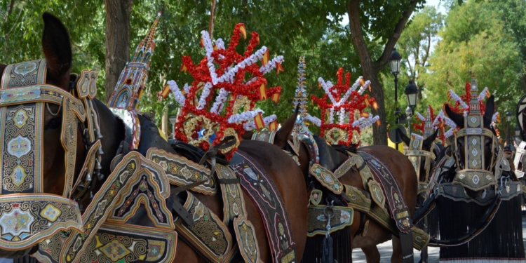 La tradición del Desfile de Reatas, Carros y Mulas sigue brillando con luz propia en la Feria y Fiestas de Tomelloso 2024