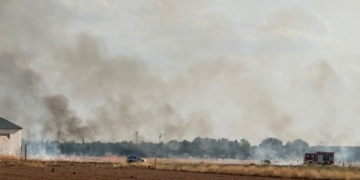 Se produce un incendio en una zona de pastos y rastrojos situada detrás de la Avenida Juan Carlos I de Tomelloso