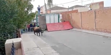 Muere el varón de 83 años que resultaba herido después de escaparse un toro de un encierro en Pantoja la semana pasada