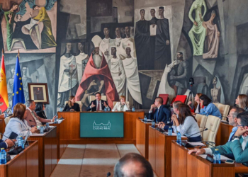 La Diputación de Ciudad Real defiende la necesidad de que su aportación al Plan de Empleo con el Gobierno Regional incluya los costes sociales