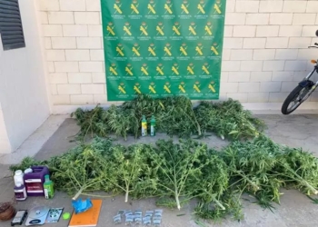 La operación ‘Pergal’ deja tres detenidos y 17 kilos de marihuana incautados en Tomelloso