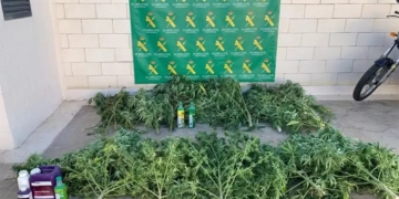 La operación ‘Pergal’ deja tres detenidos y 17 kilos de marihuana incautados en Tomelloso