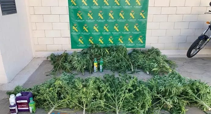 La operación ‘Pergal’ deja tres detenidos y 17 kilos de marihuana incautados en Tomelloso