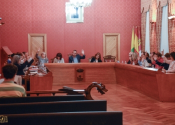 El pleno del Ayuntamiento de Tomelloso aprueba la renuncia de la concejala del grupo municipal socialista Inmaculada García Perales