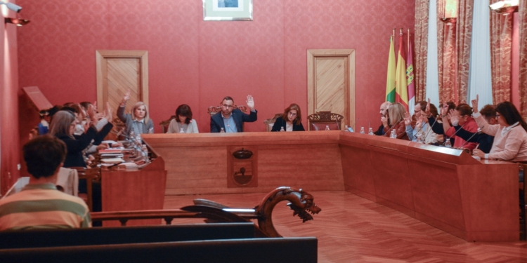 El pleno del Ayuntamiento de Tomelloso aprueba la renuncia de la concejala del grupo municipal socialista Inmaculada García Perales