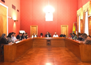 El Pleno aprueba un Plan de Actuación Integrado para la ciudad de Tomelloso
