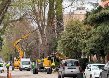El PSOE de Tomelloso califica como «otra chapuza de Javier Navarro» la obra del Paseo San Isidro