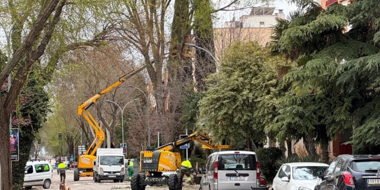 El PSOE de Tomelloso califica como «otra chapuza de Javier Navarro» la obra del Paseo San Isidro
