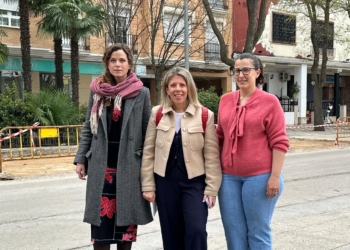 Inmaculada Jiménez: «Hemos pedido la paralización de la obra acometida en el Paseo de San Isidro»