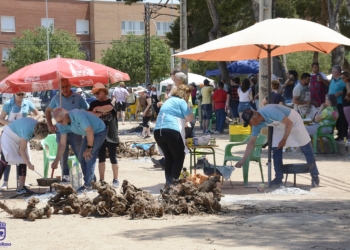Convocado el XVII Concurso Local de Gachas, Migas y Pisto de Tomelloso
