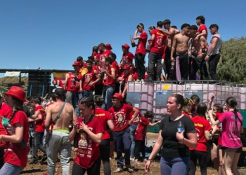Las reatas de mulas, carrozas de verde y artísticas deslumbran durante la mañana del Domingo de Romería 2025