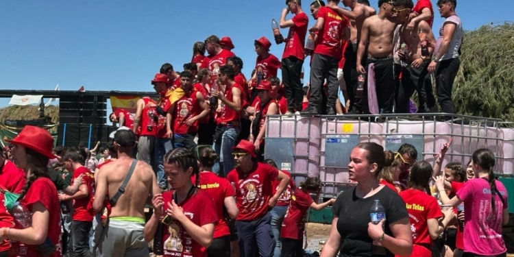 Las reatas de mulas, carrozas de verde y artísticas deslumbran durante la mañana del Domingo de Romería 2025