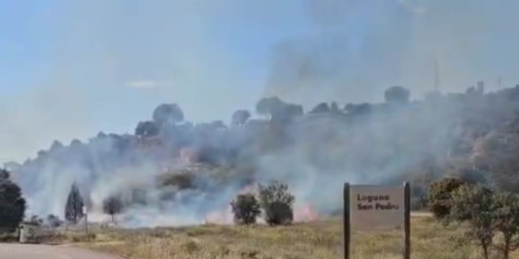Declarado un incendio en el entorno de la Laguna de San Pedro de Ruidera