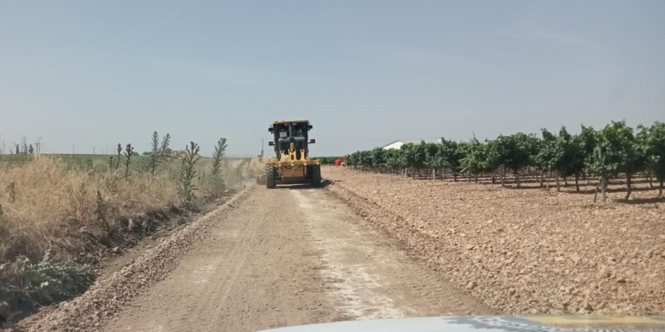 El Ayuntamiento de Tomelloso inicia la reparación integral de caminos rurales con maquinaria de la Diputación Provincial