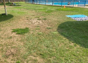 El PSOE de Tomelloso denuncia «la dejadez del césped de la piscina municipal»