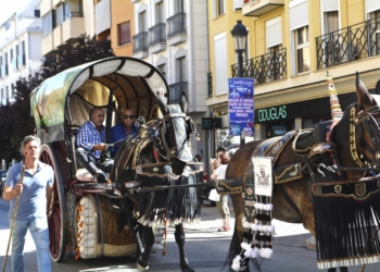 La tradición del Desfile de Reatas, Carros y Mulas sigue brillando con luz propia en la Feria y Fiestas de Tomelloso 2025