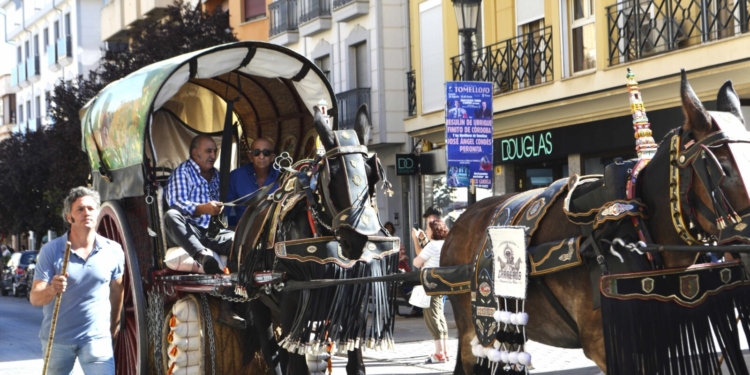 La tradición del Desfile de Reatas, Carros y Mulas sigue brillando con luz propia en la Feria y Fiestas de Tomelloso 2025