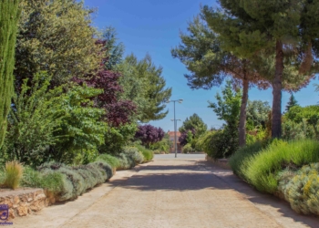 Comienzan a reabrir sus puertas al público los parques y jardines de Tomelloso tras la reparación de daños ocasionados por el temporal