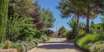 Comienzan a reabrir sus puertas al público los parques y jardines de Tomelloso tras la reparación de daños ocasionados por el temporal