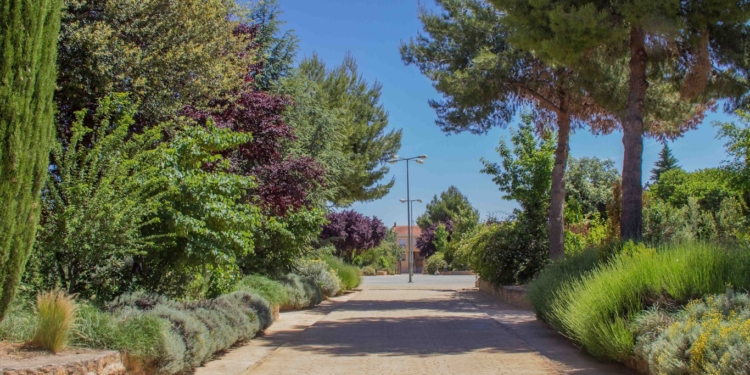 Comienzan a reabrir sus puertas al público los parques y jardines de Tomelloso tras la reparación de daños ocasionados por el temporal