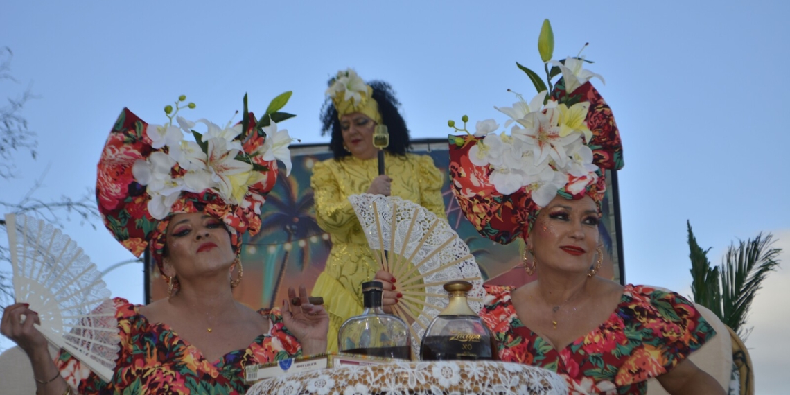 Todas las imágenes del Desfile Nacional de Carrozas y Comparsas del Carnaval de Tomelloso 2026