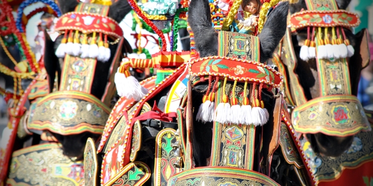 Jornadas de puertas abiertas esta semana de Romería para que el público conozca el patrimonio de los carreros de Tomelloso