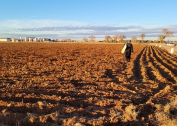 ASAJA Ciudad Real advierte de los riesgos de las altas temperaturas en el campo y pide extremar las medidas de prevención
