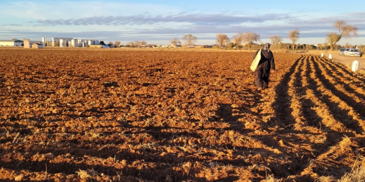 ASAJA Ciudad Real advierte de los riesgos de las altas temperaturas en el campo y pide extremar las medidas de prevención