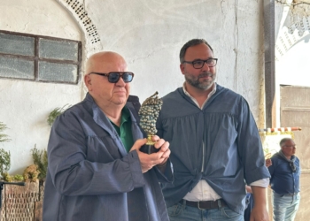 Vicente López González, Vendimiador del año de la Fiesta de la Vendimia Tradicional de Tomelloso 2026
